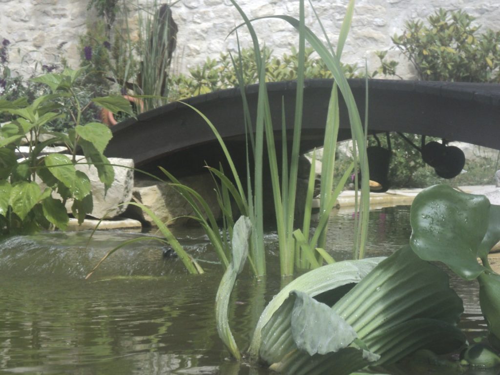 Aménagement bassin
