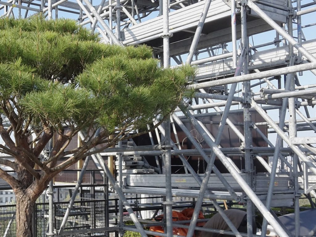 Mise en place de niwaki’s sur un roof-top d’exception