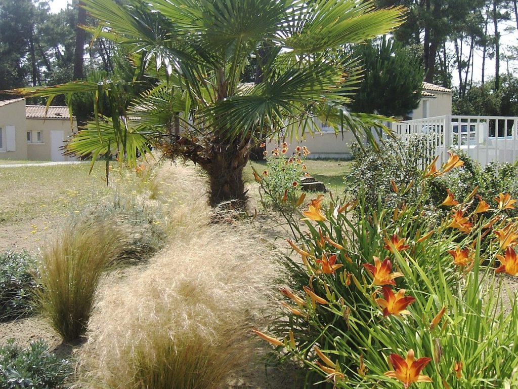 Implantations végétales sur sol sableux