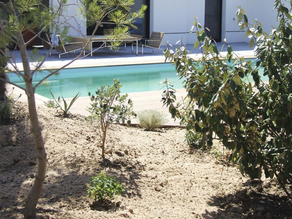 végétalisation des abords d’une piscine